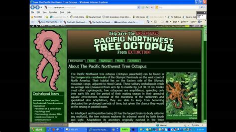 octopus website.